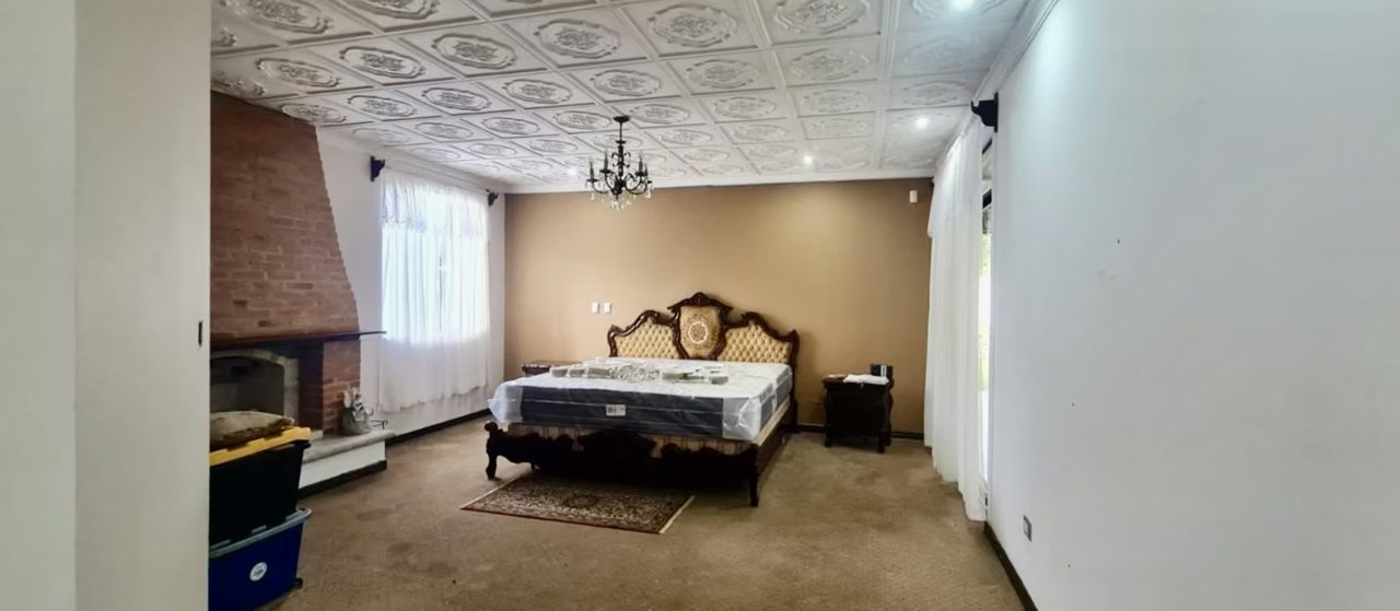 Elegancia Potencial Comercial en un Solo Lugar | 2.096 m² San Ramón Tres Ríos, foto 2
