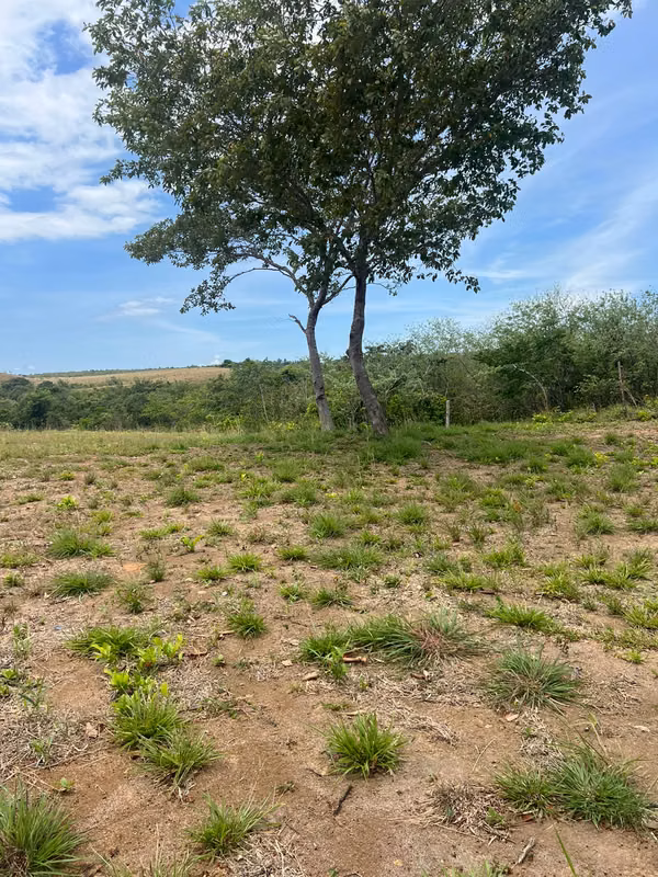 Casa de Campo en San Carlos con Piscina y 2,786 m² de Terreno, foto 3