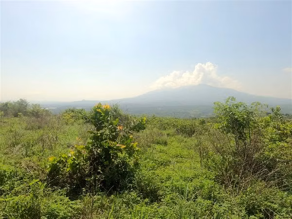 OPORTUNIDAD INVERSIÓN VENDO FINCA DE 25.5 MANZANAS EN AGUILARES, SAN SALVADOR, foto 4