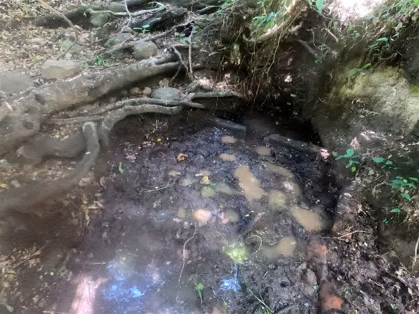 OPORTUNIDAD INVERSIÓN VENDO FINCA DE 25.5 MANZANAS EN AGUILARES, SAN SALVADOR, foto 5
