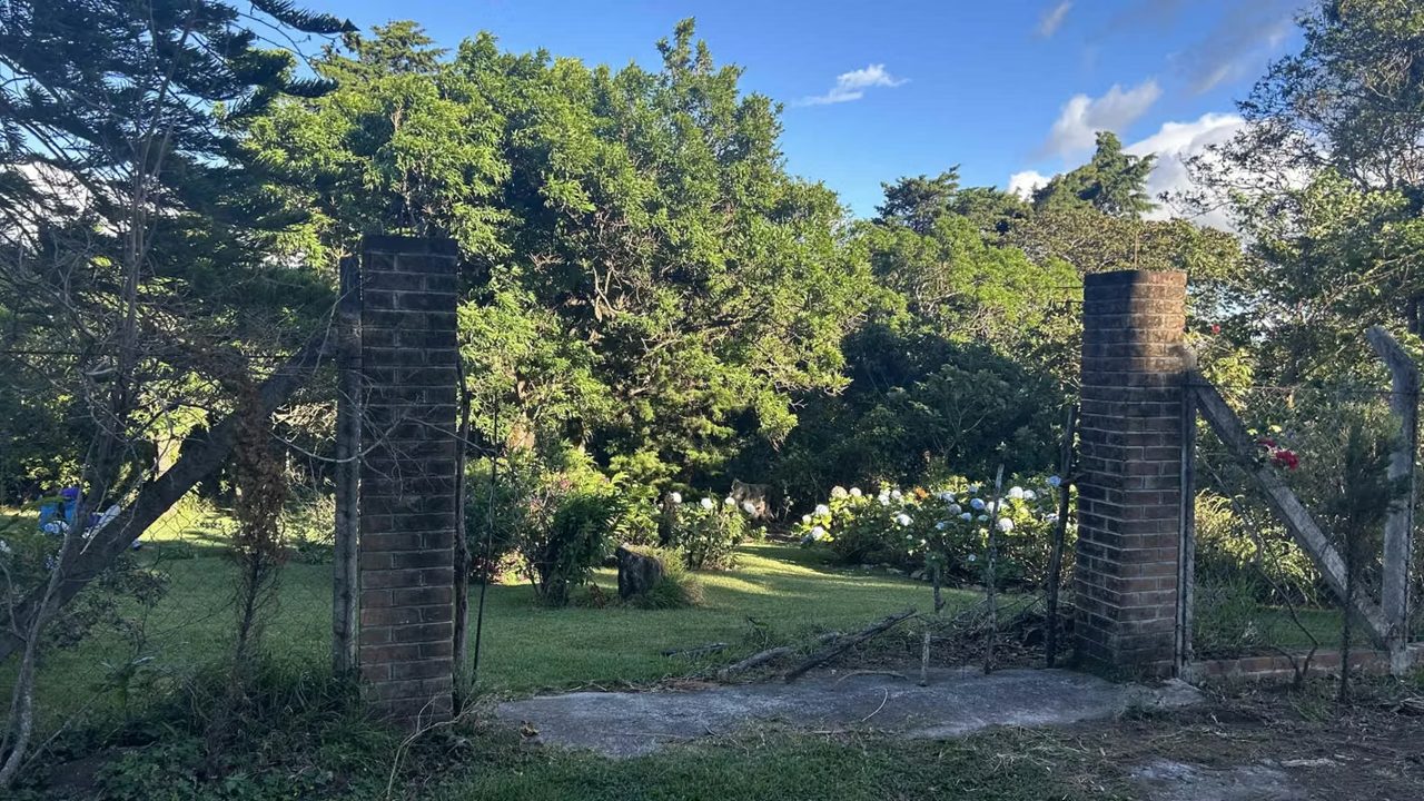 Lindo terreno en Quintas la Esperanza, Apaneca, foto 4