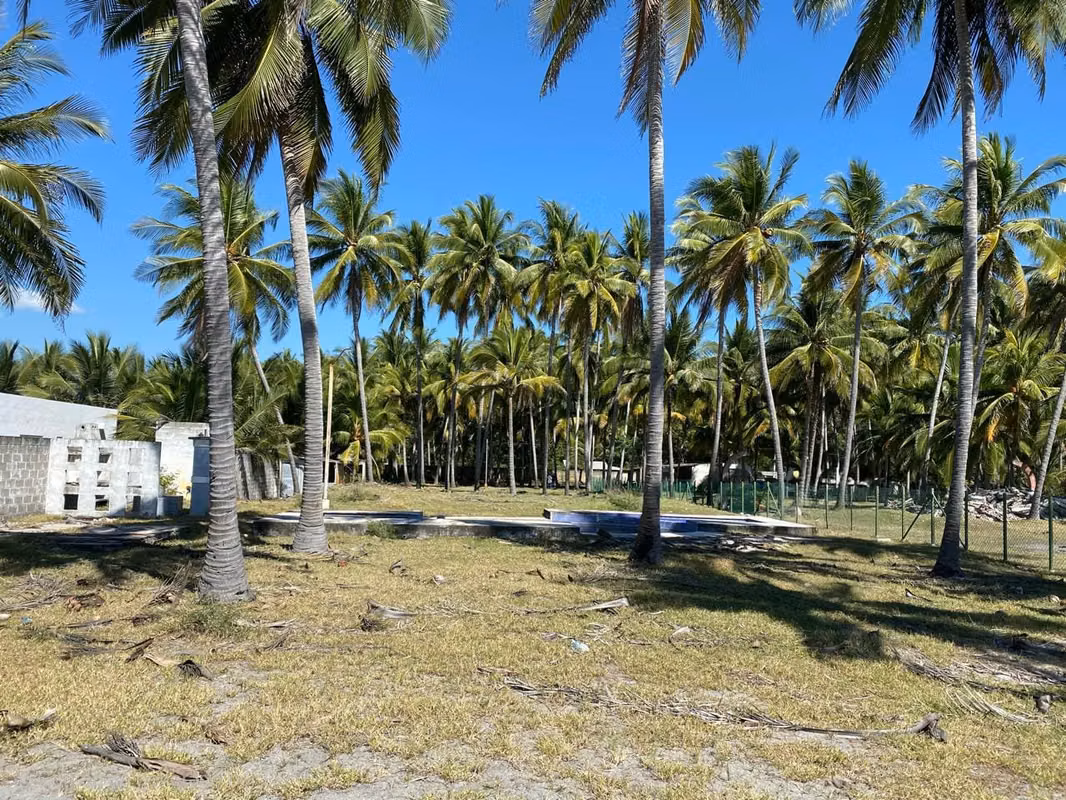 EN VENTA 4,000 V² FRENTE A PLAYA EN AMATECAMPO, foto 2