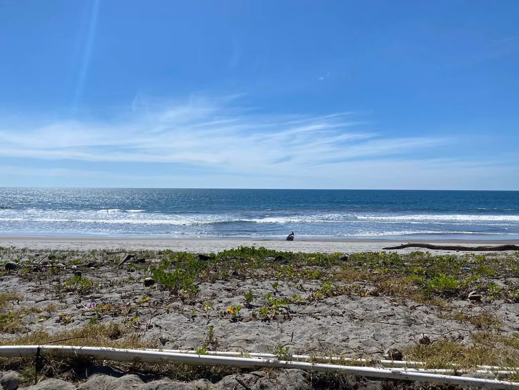 EN VENTA 4,000 V² FRENTE A PLAYA EN AMATECAMPO, foto 5