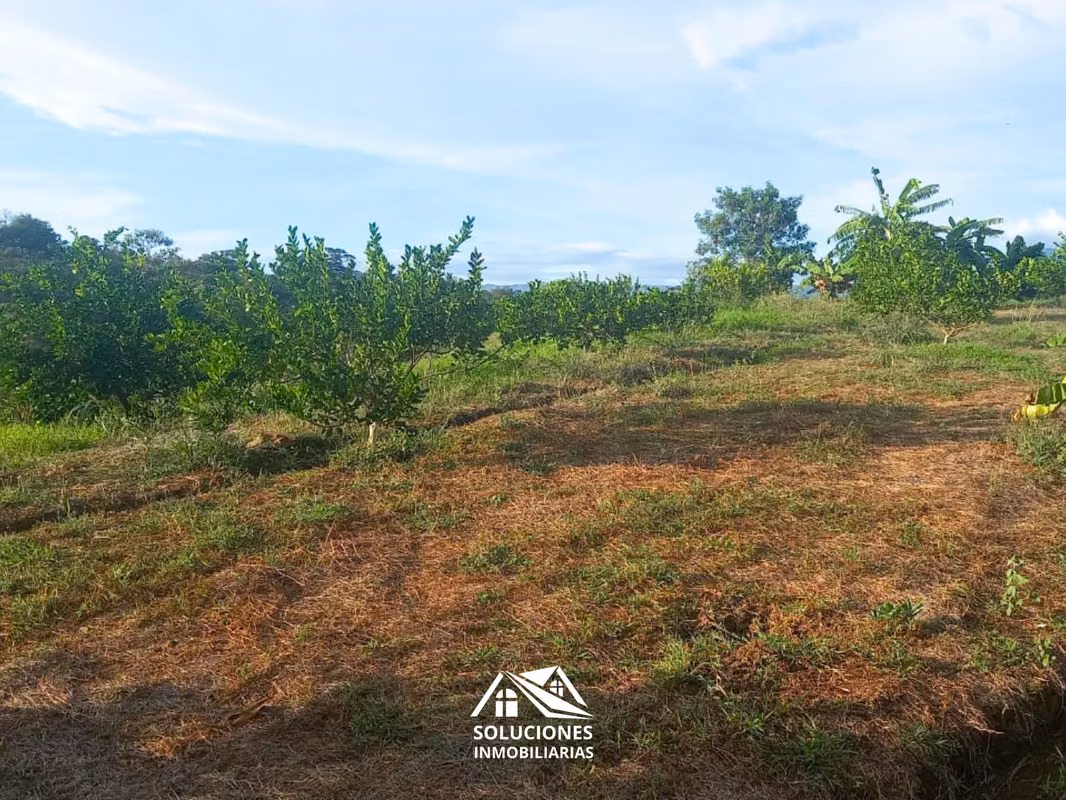SE VENDE TERRENO DE 10,489 METROS CUADRADOS | UBICADO EN GUAYMANGO, foto 3
