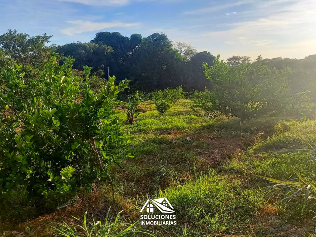 SE VENDE TERRENO DE 10,489 METROS CUADRADOS | UBICADO EN GUAYMANGO, foto 4