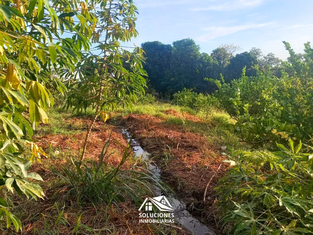 SE VENDE TERRENO DE 10,489 METROS CUADRADOS | UBICADO EN GUAYMANGO, foto 5