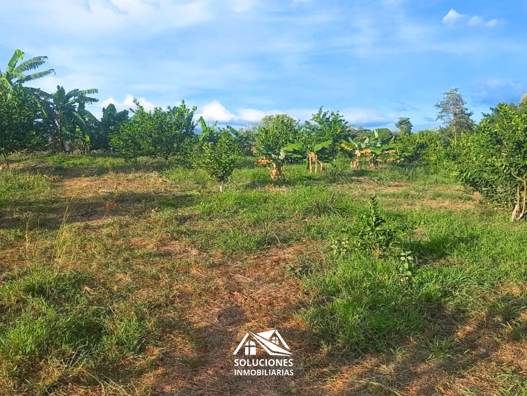 SE VENDE TERRENO DE 10,489 METROS CUADRADOS | UBICADO EN GUAYMANGO, foto 2