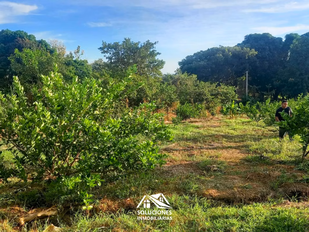 SE VENDE TERRENO DE 10,489 METROS CUADRADOS | UBICADO EN GUAYMANGO, foto 5